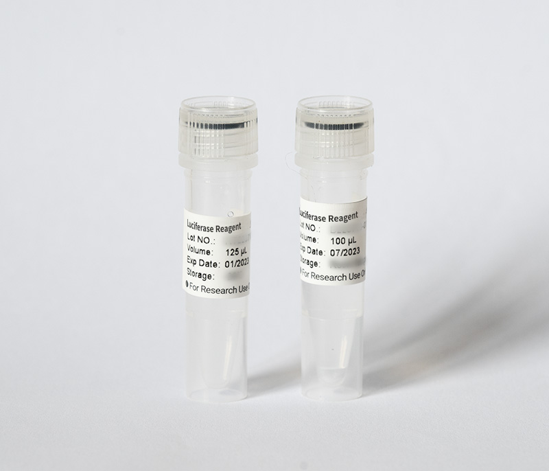 Luc2 Substrate (AkaLumine-HCl)