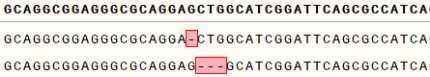 KO cell line sequencing result interpret