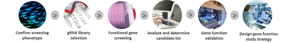 CRISPR Screening