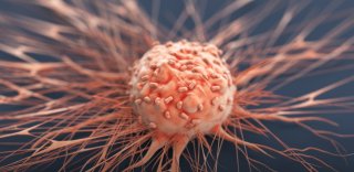 Brake Protein Could Give the Green Light to Novel Cancer Ther